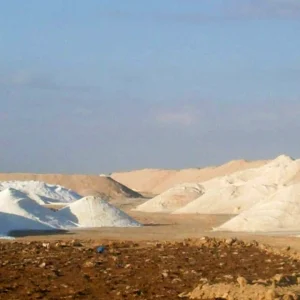 WhatsApp-Image-2020-03-13-at-10.43.09-PM