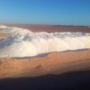 WhatsApp-Image-2020-03-13-at-10.43.24-PM