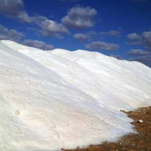 WhatsApp-Image-2020-03-13-at-10.43.25-PM