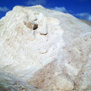 WhatsApp-Image-2020-03-13-at-10.43.27-PM