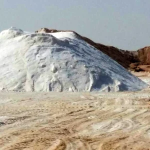 WhatsApp-Image-2020-03-13-at-10.43.30-PM