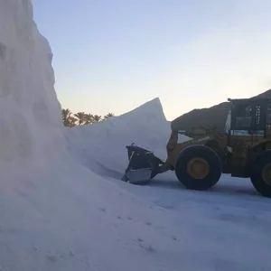 WhatsApp-Image-2020-03-13-at-11.03.15-PM